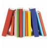 LOTE LIBROS PLAN LECTOR 1º ESO