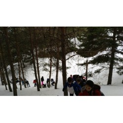 ACT: SALIDA SIERRA NEVADA 2ºESO (1ºPAGO)