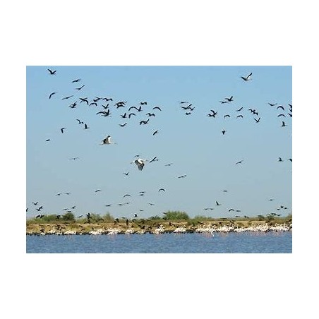 ACT: CAÑADA DE LOS PÁJAROS (1ºESO)