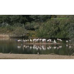 ACT: CAÑADA DE LOS PÁJAROS (1ºESO)