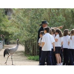ACT: CAÑADA DE LOS PÁJAROS (1ºESO)