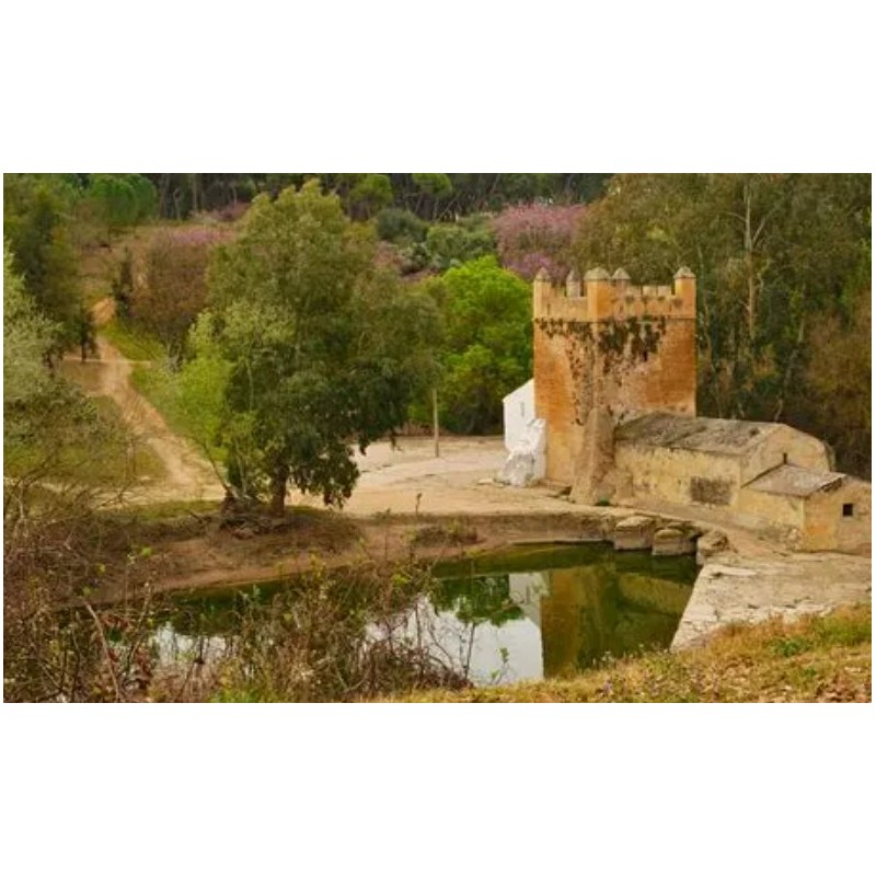 ACT: CONVIVENCIA 3ºESO ALCALÁ DE GUADAIRA