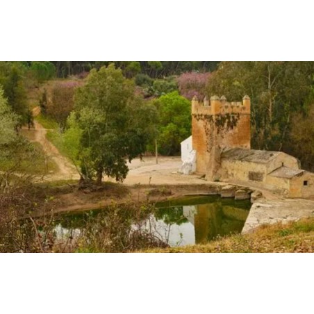 ACT: CONVIVENCIA 3ºESO ALCALÁ DE GUADAIRA