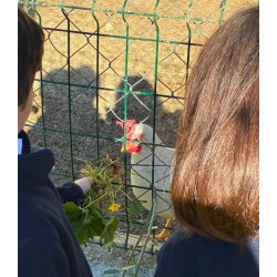 ACT: SALIDA CENTRO...