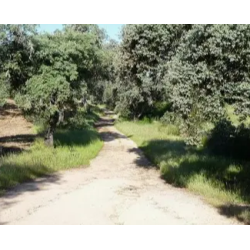 ACT: SALIDA SENDERISMO...