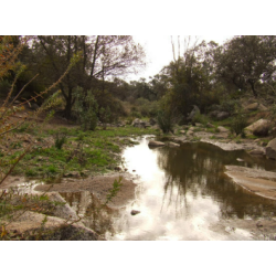 ACT: SALIDA SENDERISMO ARROYO DE LAS CAÑAS 3ºESO
